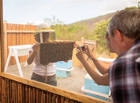 Big island bees - A tour and inspection of a live hive with our beekeeper, where from behind a screened area you can watch and learn how bees operate within the hive. Free sampling of our all our different honey varietals. A short video explaining the production of honey from flower to jar. 